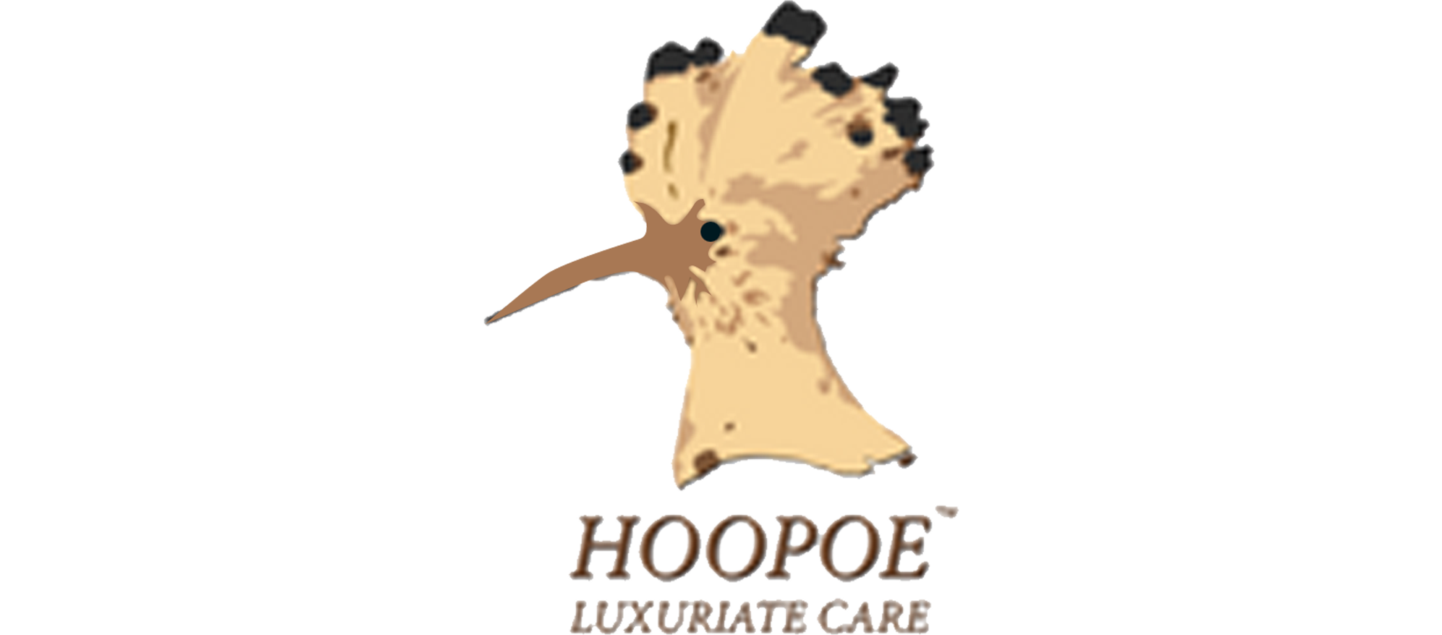 Hoopoe